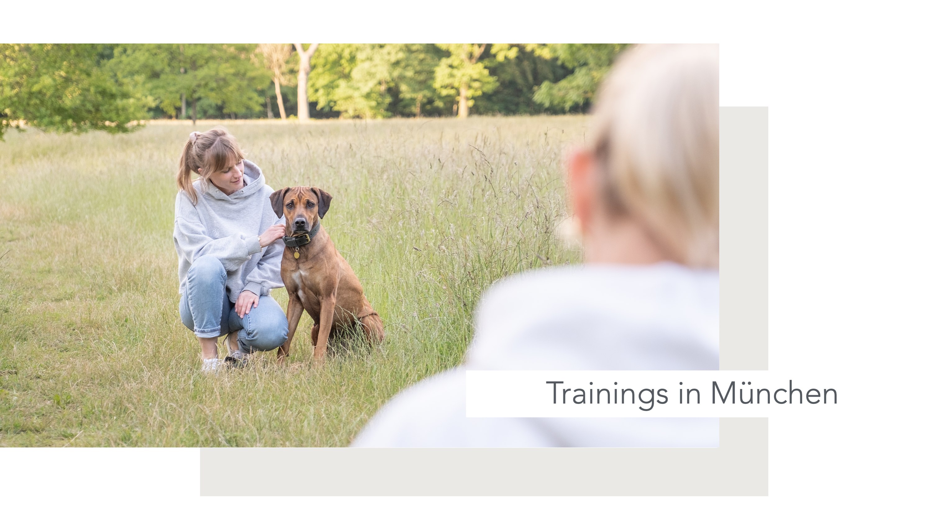 Hundeschule, Ammersee, halb so wild, Hundetraining, Welpen, Junghunde, Tierschutz, München, Social Walk, Workshop, Dummy, Leine, Hund, Hunde, Landsberg, Schulhunde, Maulkorb